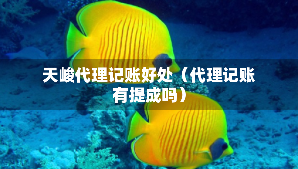 天峻代理記賬好處（代理記賬有提成嗎）