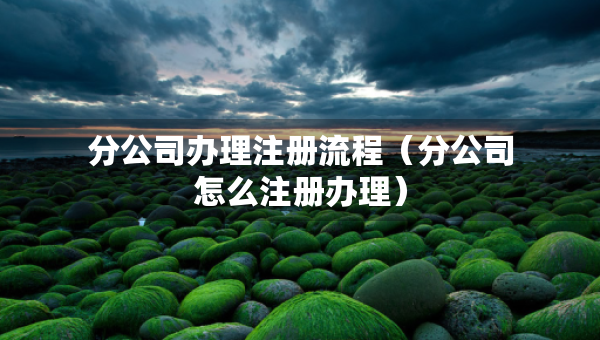 分公司辦理注冊流程（分公司怎么注冊辦理）