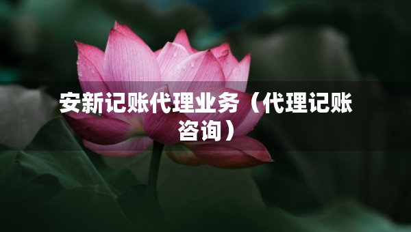 安新記賬代理業(yè)務(wù)（代理記賬咨詢）