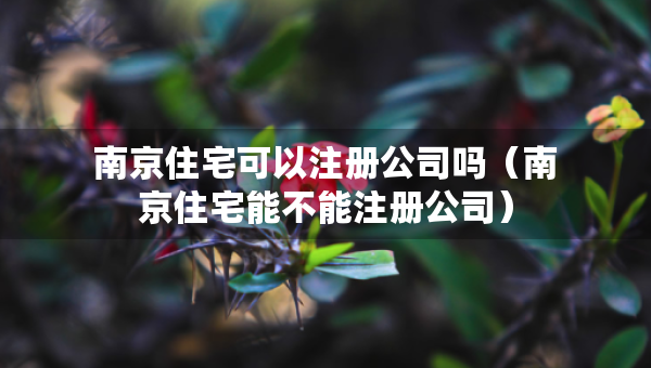 南京住宅可以注冊(cè)公司嗎（南京住宅能不能注冊(cè)公司）