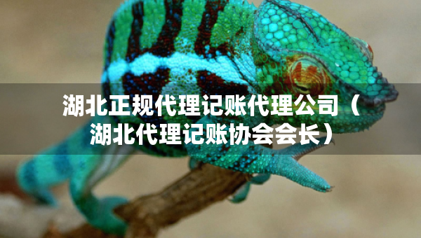 湖北正規(guī)代理記賬代理公司（湖北代理記賬協(xié)會會長）