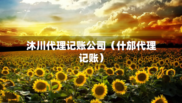 沐川代理記賬公司（什邡代理記賬）