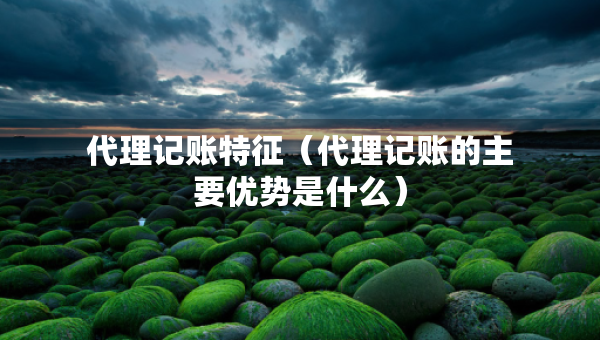 代理記賬特征（代理記賬的主要優(yōu)勢(shì)是什么）