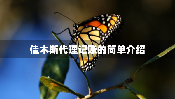 佳木斯代理記賬的簡單介紹