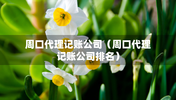 周口代理記賬公司（周口代理記賬公司排名）