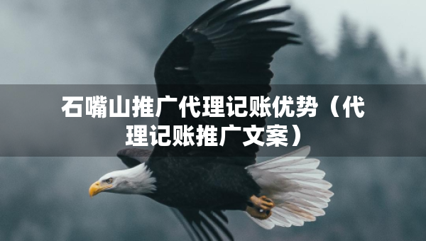 石嘴山推廣代理記賬優(yōu)勢(代理記賬推廣文案) 石嘴山推廣代理記賬優(yōu)勢(代理記賬推廣文案)