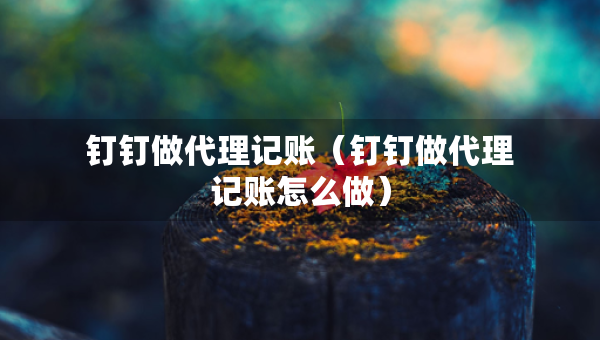 釘釘做代理記賬（釘釘做代理記賬怎么做）