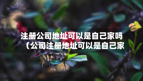 注冊公司地址可以是自己家嗎（公司注冊地址可以是自己家嗎?）