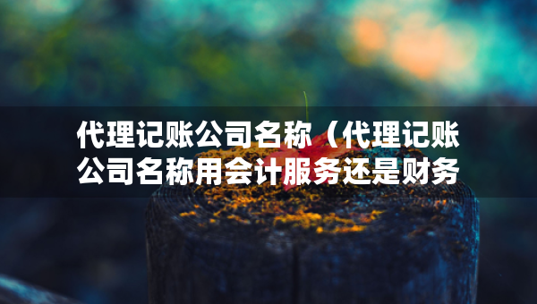 代理記賬公司名稱（代理記賬公司名稱用會計服務(wù)還是財務(wù)咨詢）
