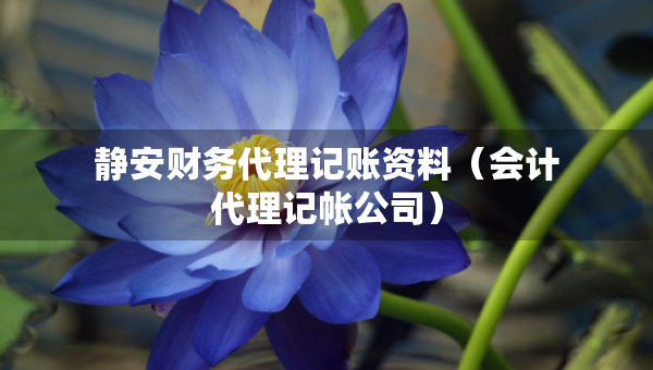靜安財務(wù)代理記賬資料（會計代理記帳公司）