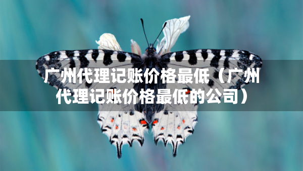 廣州代理記賬價(jià)格最低（廣州代理記賬價(jià)格最低的公司）