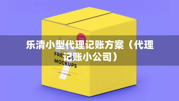 樂清小型代理記賬方案（代理記賬小公司）
