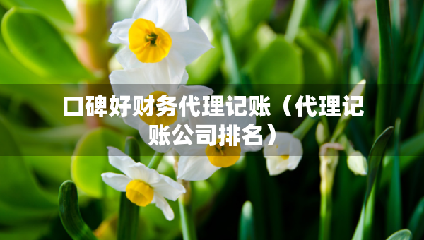 口碑好財(cái)務(wù)代理記賬（代理記賬公司排名）
