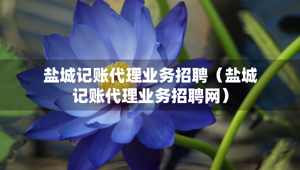 鹽城記賬代理業(yè)務(wù)招聘（鹽城記賬代理業(yè)務(wù)招聘網(wǎng)）
