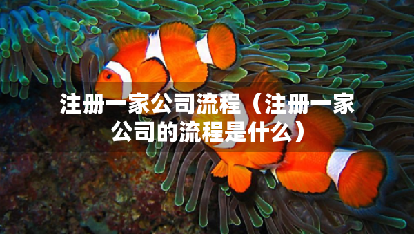 注冊一家公司流程（注冊一家公司的流程是什么）