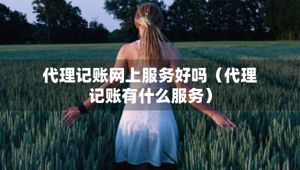 代理記賬網(wǎng)上服務(wù)好嗎（代理記賬有什么服務(wù)）