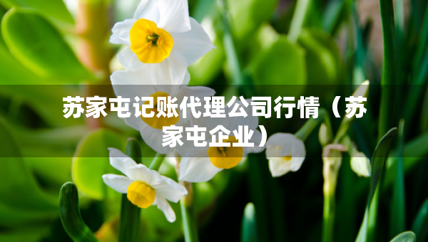 蘇家屯記賬代理公司行情（蘇家屯企業(yè)）