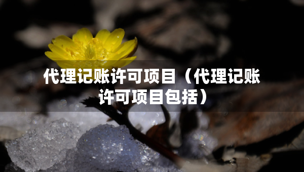代理記賬許可項(xiàng)目（代理記賬許可項(xiàng)目包括）