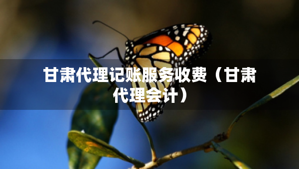 甘肅代理記賬服務(wù)收費(fèi)（甘肅代理會(huì)計(jì)）