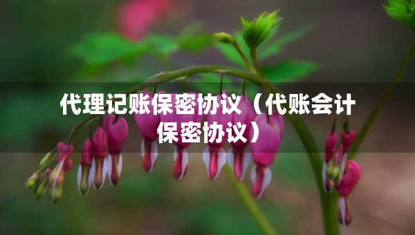 代理記賬保密協(xié)議（代賬會(huì)計(jì)保密協(xié)議）