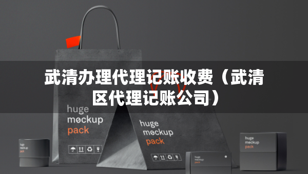 武清辦理代理記賬收費（武清區(qū)代理記賬公司）