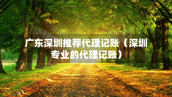 廣東深圳推薦代理記賬（深圳專業(yè)的代理記賬）