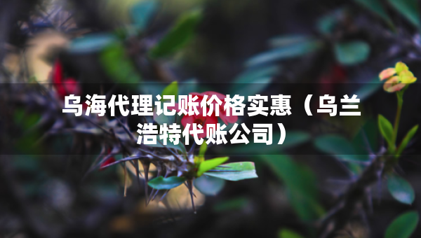 烏海代理記賬價格實惠（烏蘭浩特代賬公司）