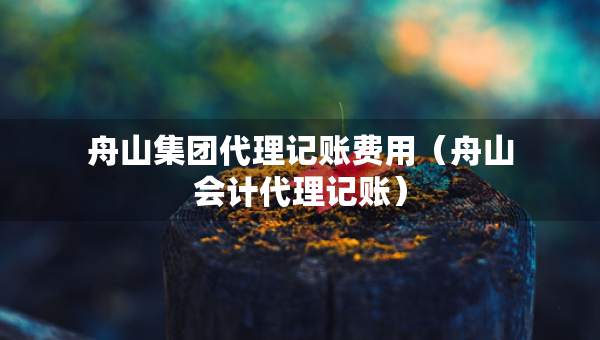 舟山集團(tuán)代理記賬費(fèi)用（舟山會(huì)計(jì)代理記賬）