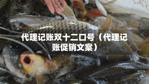 代理記賬雙十二口號(hào)（代理記賬促銷文案）