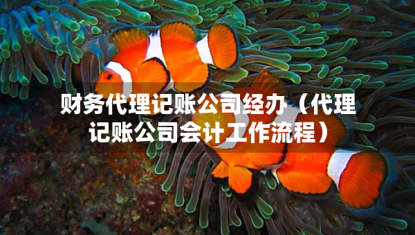 財(cái)務(wù)代理記賬公司經(jīng)辦（代理記賬公司會計(jì)工作流程）