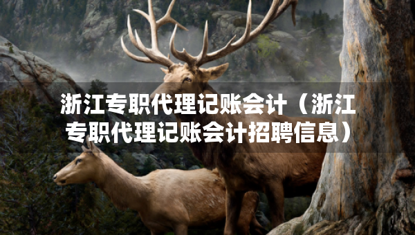 浙江專職代理記賬會計（浙江專職代理記賬會計招聘信息）