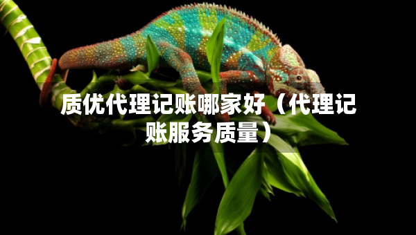 質(zhì)優(yōu)代理記賬哪家好（代理記賬服務(wù)質(zhì)量）