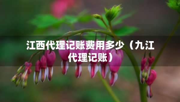 江西代理記賬費用多少（九江代理記賬）