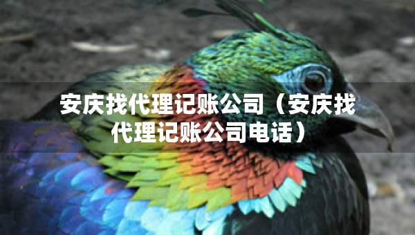 安慶找代理記賬公司（安慶找代理記賬公司電話）