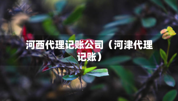 河西代理記賬公司(河津代理記賬) 河西代理記賬公司(河津代理記賬)