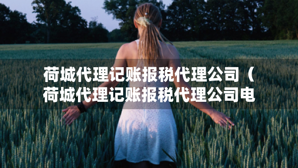 荷城代理記賬報稅代理公司（荷城代理記賬報稅代理公司電話）