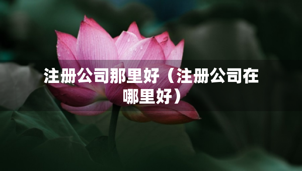 注冊(cè)公司那里好（注冊(cè)公司在哪里好）