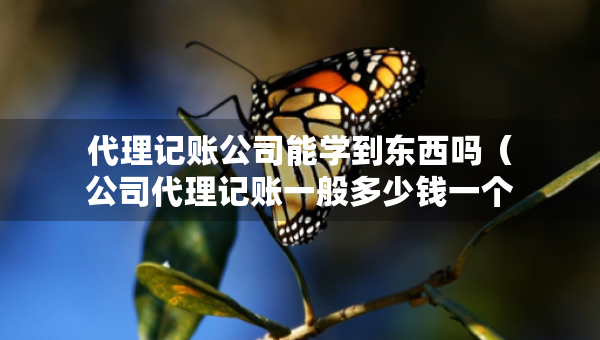 代理記賬公司能學(xué)到東西嗎（公司代理記賬一般多少錢一個(gè)月）