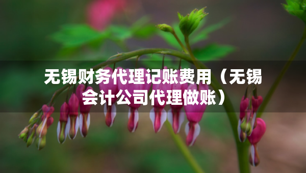 無(wú)錫財(cái)務(wù)代理記賬費(fèi)用（無(wú)錫會(huì)計(jì)公司代理做賬）