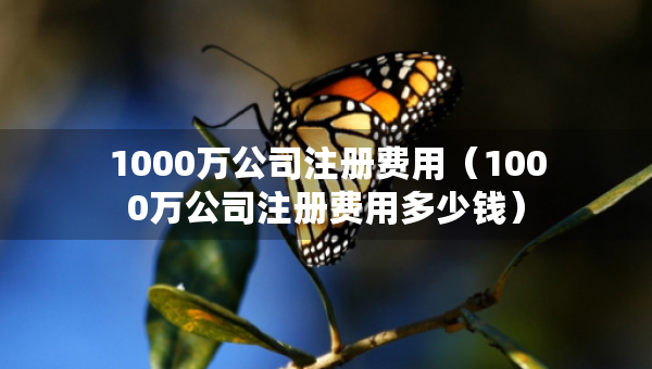 1000萬(wàn)公司注冊(cè)費(fèi)用（1000萬(wàn)公司注冊(cè)費(fèi)用多少錢(qián)）