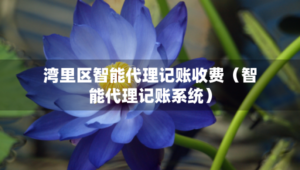 灣里區(qū)智能代理記賬收費（智能代理記賬系統(tǒng)）