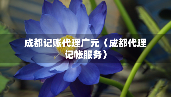 成都記賬代理廣元(成都代理記帳服務) 成都記賬代理廣元(成都代理記帳服務)