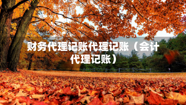 財務(wù)代理記賬代理記賬（會計代理記賬）