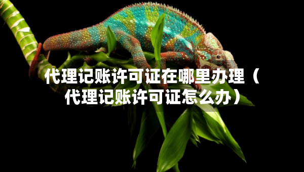 代理記賬許可證在哪里辦理（代理記賬許可證怎么辦）