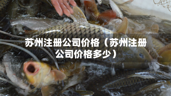 蘇州注冊公司價格（蘇州注冊公司價格多少）