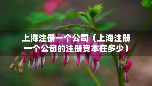 上海注冊(cè)一個(gè)公司（上海注冊(cè)一個(gè)公司的注冊(cè)資本在多少）