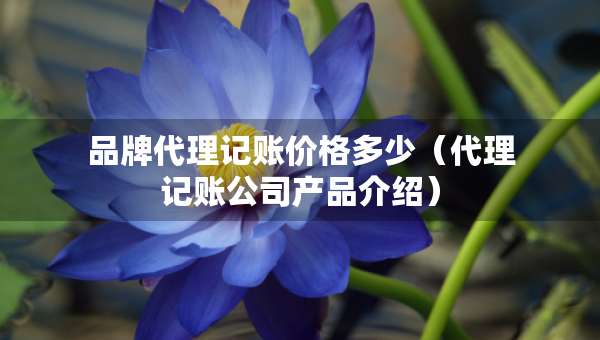 品牌代理記賬價格多少（代理記賬公司產(chǎn)品介紹）