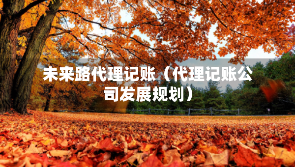 未來路代理記賬（代理記賬公司發(fā)展規(guī)劃）