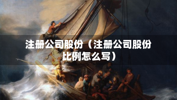 注冊公司股份（注冊公司股份比例怎么寫）