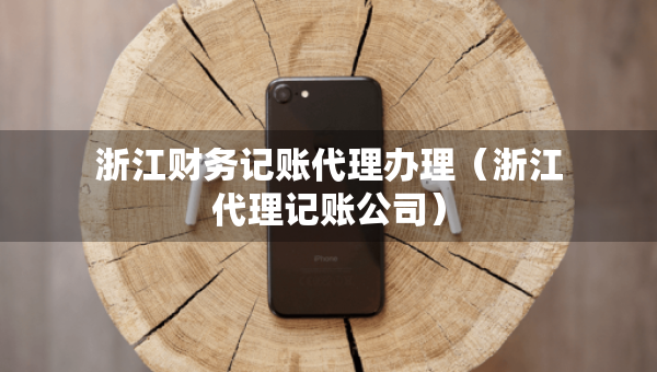 浙江財(cái)務(wù)記賬代理辦理（浙江代理記賬公司）